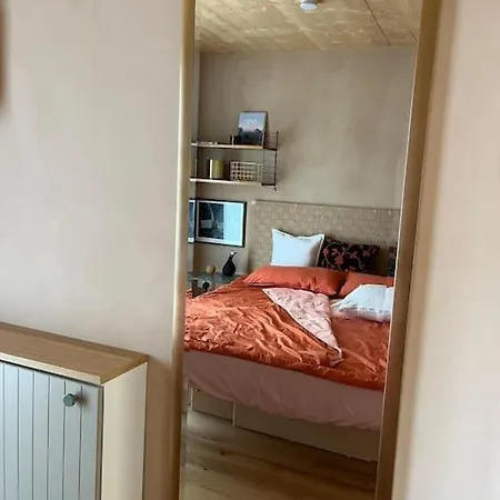 Ferienwohnung Am Stadtwald Apartment