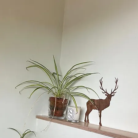 Ferienwohnung Am Stadtwald